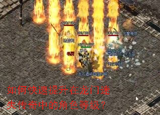 ��ο���������������ʧ�����еĽ�ɫ�ȼ���