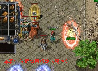 ��ְҵ�������������ԣ�