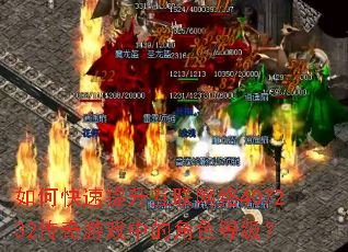 ��ο���������������407232������Ϸ�еĽ�ɫ�ȼ���
