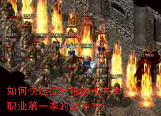 ��ο�����������δ�뵥ְҵ��һ����ս������