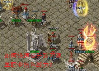 ��ο��������µ��굥ְҵ��ɫս����