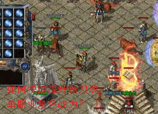��ο��������µ��굥ְҵ��ɫս����