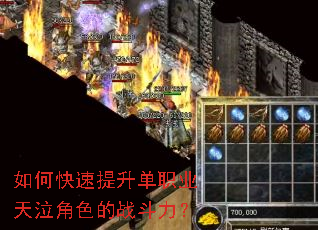 ��ο���������ְҵ������ɫ��ս������