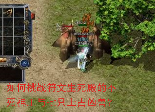 �����ս����������Ĳ�����������ֻ�Ϲ����ޣ�