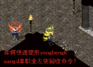 ��ο���ʹ��yonghengkuangd��ְҵ���������
