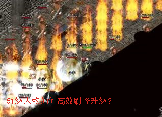 51��������θ�Чˢ��������