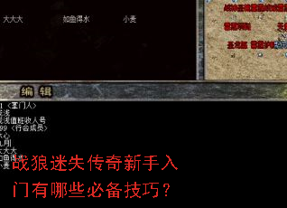 战狼迷失传奇新手入门有哪些必备技巧? 战狼迷失传奇新手入门有哪些必备技巧?