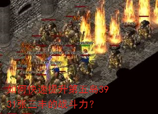 如何快速提升第五岛3931张三丰的战斗力? 如何快速提升第五岛3931张三丰的战斗力?