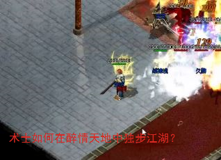 术士如何在醉情天地中独步江湖? 术士如何在醉情天地中独步江湖?