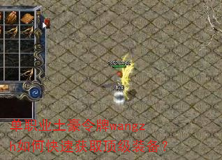单职业土豪令牌wangzh如何快速获取顶级装备? 单职业土豪令牌wangzh如何快速获取顶级装备?