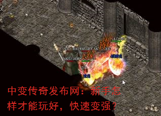 中变传奇发布网:新手怎样才能玩好,快速变强? 中变传奇发布网:新手怎样才能玩好,快速变强?