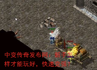 中变传奇发布网:新手怎样才能玩好,快速变强? 中变传奇发布网:新手怎样才能玩好,快速变强?