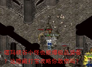 诺玛峡谷小怪也能爆极品装备?这隐藏打宝攻略你敢信吗? 诺玛峡谷小怪也能爆极品装备?这隐藏打宝攻略你敢信吗?