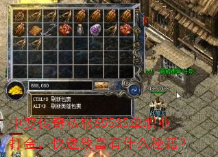 中变传奇私服65535单职业打金,快速致富有什么秘籍? 中变传奇私服65535单职业打金,快速致富有什么秘籍?