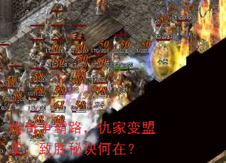 传奇争霸路,仇家变盟友,致胜秘诀何在? 传奇争霸路,仇家变盟友,致胜秘诀何在?