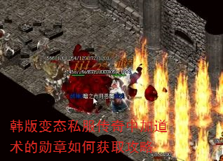 韩版变态私服传奇中加道术的勋章如何获取攻略 韩版变态私服传奇中加道术的勋章如何获取攻略