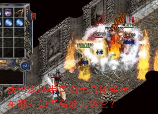 沃玛森林半兽勇士具体坐标在哪?如何高效击败它? 沃玛森林半兽勇士具体坐标在哪?如何高效击败它?