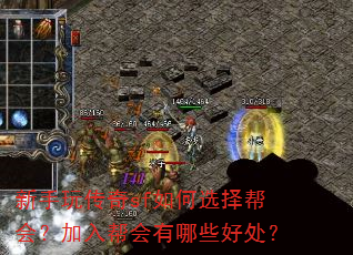 新手玩传奇sf如何选择帮会?加入帮会有哪些好处? 新手玩传奇sf如何选择帮会?加入帮会有哪些好处?