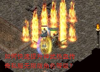 如何快速提升神武热血传奇私服无限版角色等级? 如何快速提升神武热血传奇私服无限版角色等级?