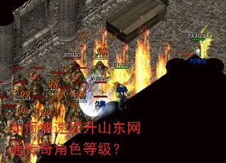 如何快速提升山东网通传奇角色等级? 如何快速提升山东网通传奇角色等级?