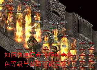 如何快速提升飞扬传奇角色等级与获取顶级装备? 如何快速提升飞扬传奇角色等级与获取顶级装备?