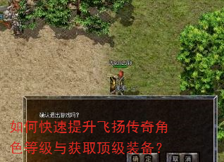 如何快速提升飞扬传奇角色等级与获取顶级装备? 如何快速提升飞扬传奇角色等级与获取顶级装备?