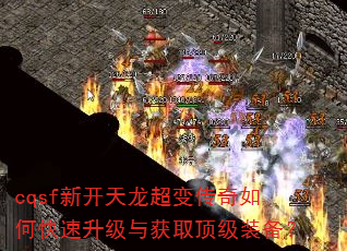 cqsf�¿��������䴫����ο����������ȡ����װ����
