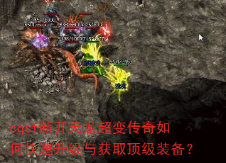 cqsf�¿��������䴫����ο����������ȡ����װ����
