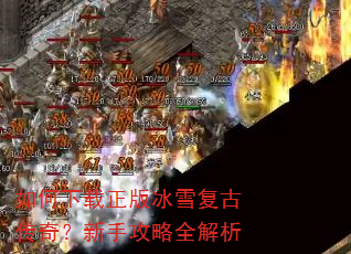 ������������ѩ���Ŵ��棿���ֹ���ȫ����