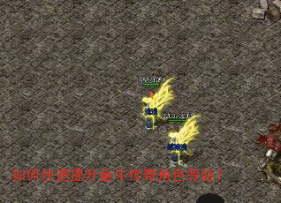 如何快速提升金牛传奇角色等级? 如何快速提升金牛传奇角色等级?