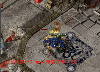 如何快速提升金牛传奇角色等级? 如何快速提升金牛传奇角色等级?
