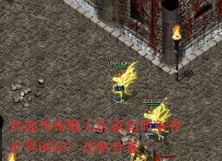 热血传奇散人玩家如何争夺世界BOSS?攻略分享 热血传奇散人玩家如何争夺世界BOSS?攻略分享