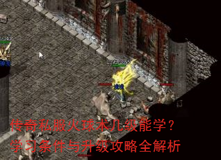 传奇私服火球术几级能学?学习条件与升级攻略全解析 传奇私服火球术几级能学?学习条件与升级攻略全解析
