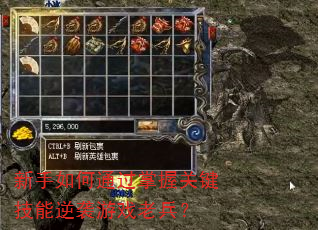 新手如何通过掌握关键技能逆袭游戏老兵? 新手如何通过掌握关键技能逆袭游戏老兵?