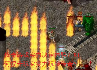 ������Ϸʵ���������飿����������ʵ����ת���棿