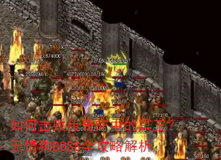 ��λ��ܴ���SF�е�ڤ�������鹷BOSSȫ���Խ���