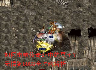 ��λ��ܴ���SF�е�ڤ�������鹷BOSSȫ���Խ���