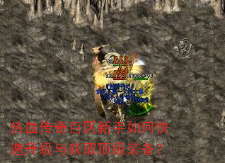 热血传奇百区新手如何快速升级与获取顶级装备? 热血传奇百区新手如何快速升级与获取顶级装备?