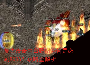 复古传奇中白野猪为何是必刷BOSS?攻略全解析 复古传奇中白野猪为何是必刷BOSS?攻略全解析