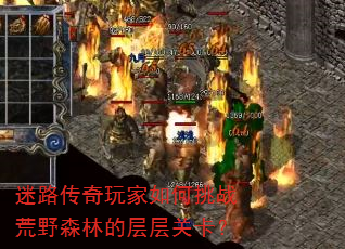 ��·������������ս��Ұɭ�ֵĲ��ؿ���