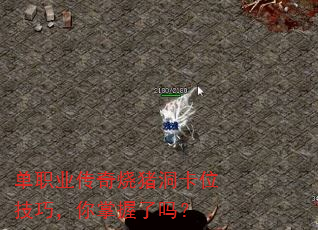单职业传奇烧猪洞卡位技巧,你掌握了吗? 单职业传奇烧猪洞卡位技巧,你掌握了吗?