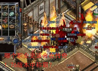 哪个职业更适合在传奇1.76版本中称霸? 哪个职业更适合在传奇1.76版本中称霸?