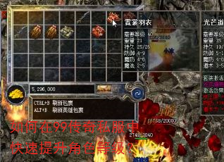 如何在99传奇私服中快速提升角色等级? 如何在99传奇私服中快速提升角色等级?