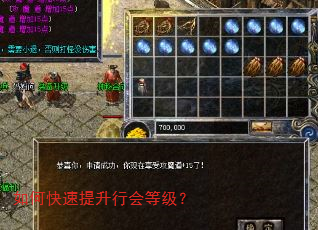如何快速提升行会等级? 如何快速提升行会等级?