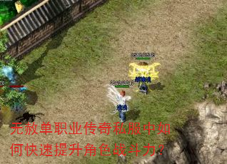 无赦单职业传奇私服中如何快速提升角色战斗力? 无赦单职业传奇私服中如何快速提升角色战斗力?