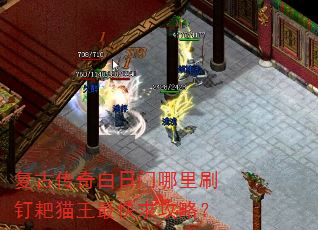 复古传奇白日门哪里刷钉耙猫王最快求攻略? 复古传奇白日门哪里刷钉耙猫王最快求攻略?
