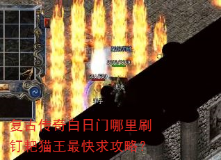 复古传奇白日门哪里刷钉耙猫王最快求攻略? 复古传奇白日门哪里刷钉耙猫王最快求攻略?