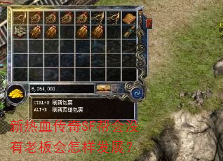 新热血传奇SF帮会没有老板会怎样发展? 新热血传奇SF帮会没有老板会怎样发展?