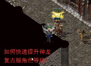 如何快速提升神龙复古服角色等级? 如何快速提升神龙复古服角色等级?