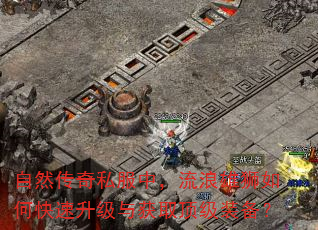 自然传奇私服中,流浪雄狮如何快速升级与获取顶级装备? 自然传奇私服中,流浪雄狮如何快速升级与获取顶级装备?